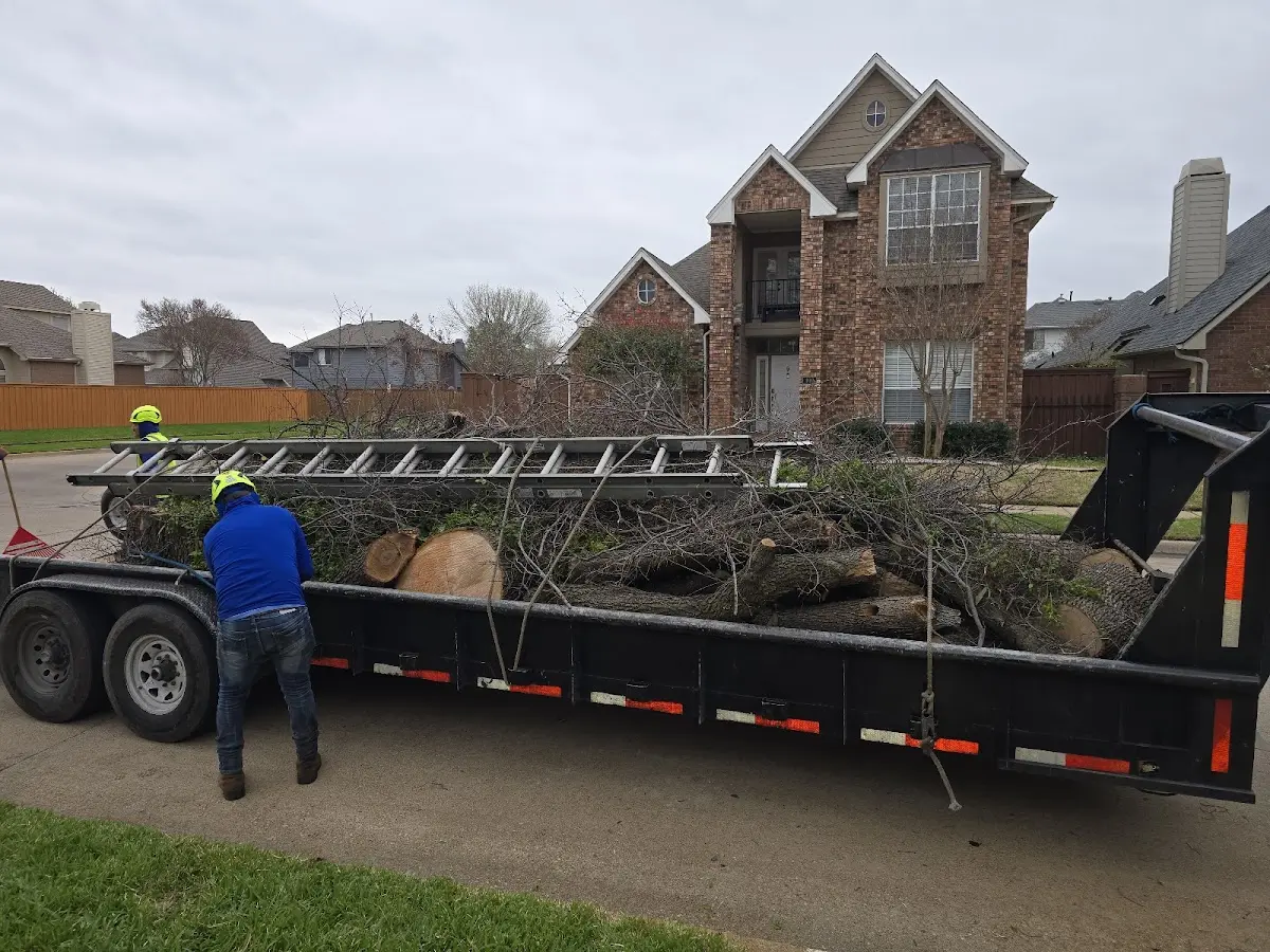 Expert Tree Pest Control with proper safety equipment in Fishers